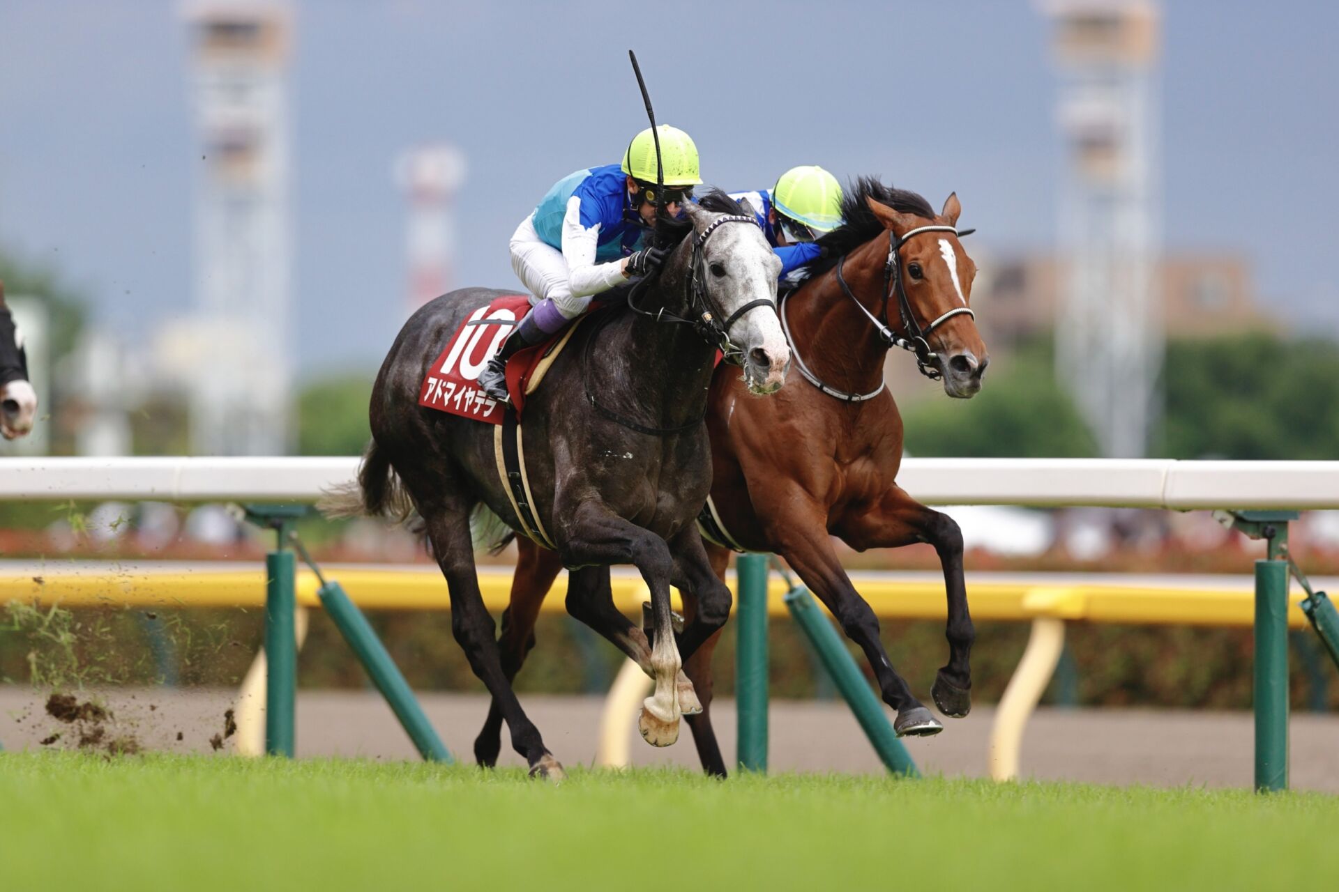 目黒記念】武豊39年連続重賞V「バテないタイプ」アドマイヤテラ