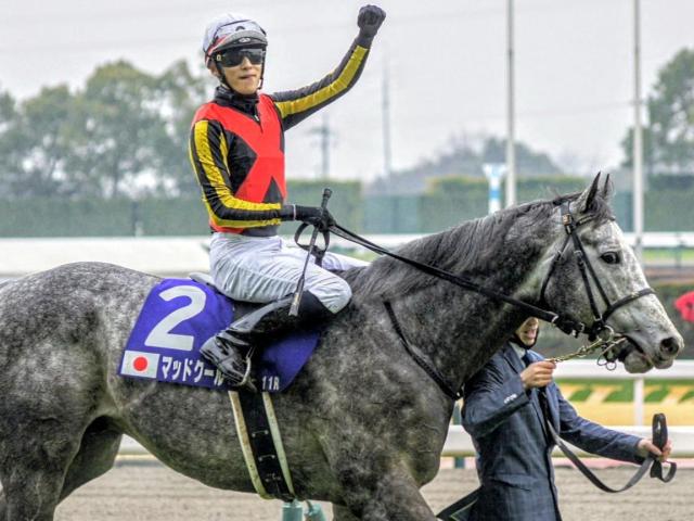 史上4頭目なるか 高松宮記念から安田記念を勝った馬（netkeiba