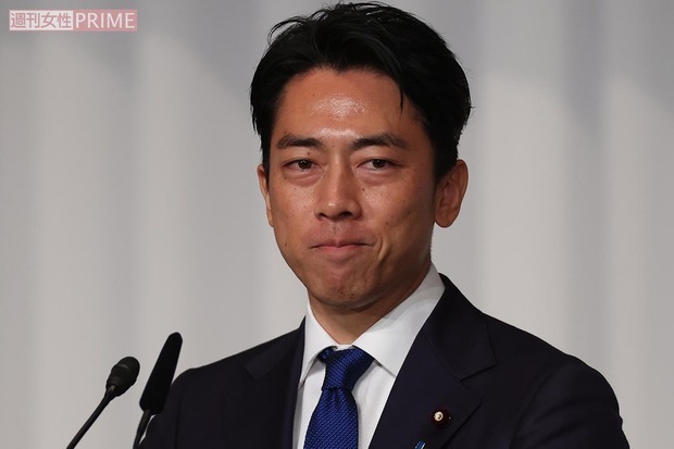 小泉進次郎、自身の巨大壁画アートに感謝も“口元に米粒”の皮肉「バカにされている？」相次ぐツッコミ