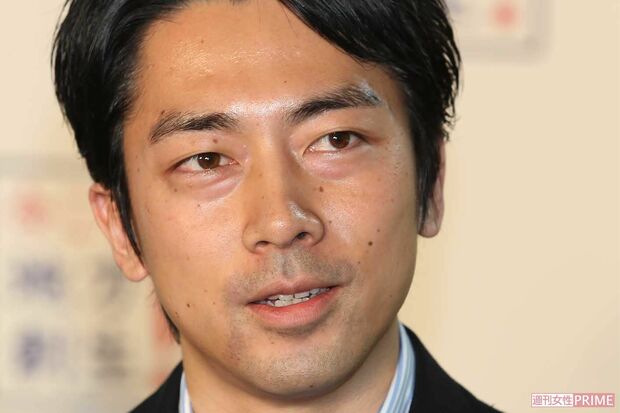 小泉進次郎は禁断の“JA民営化”に手をつけるか、ジャーナリストが語る民営化のメリットデメリット
