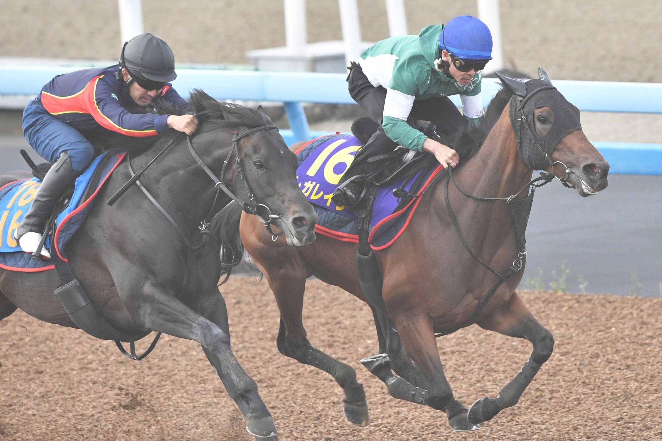 宝塚記念1週前追い切り】レガレイラは馬なりで悠々と併入