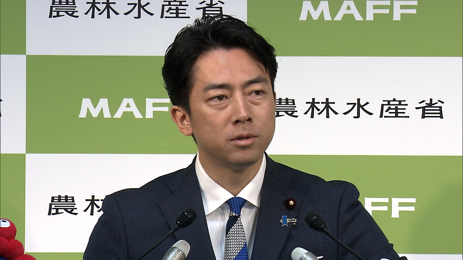 米の流通問題について国会で発言する小泉進次郎農水相