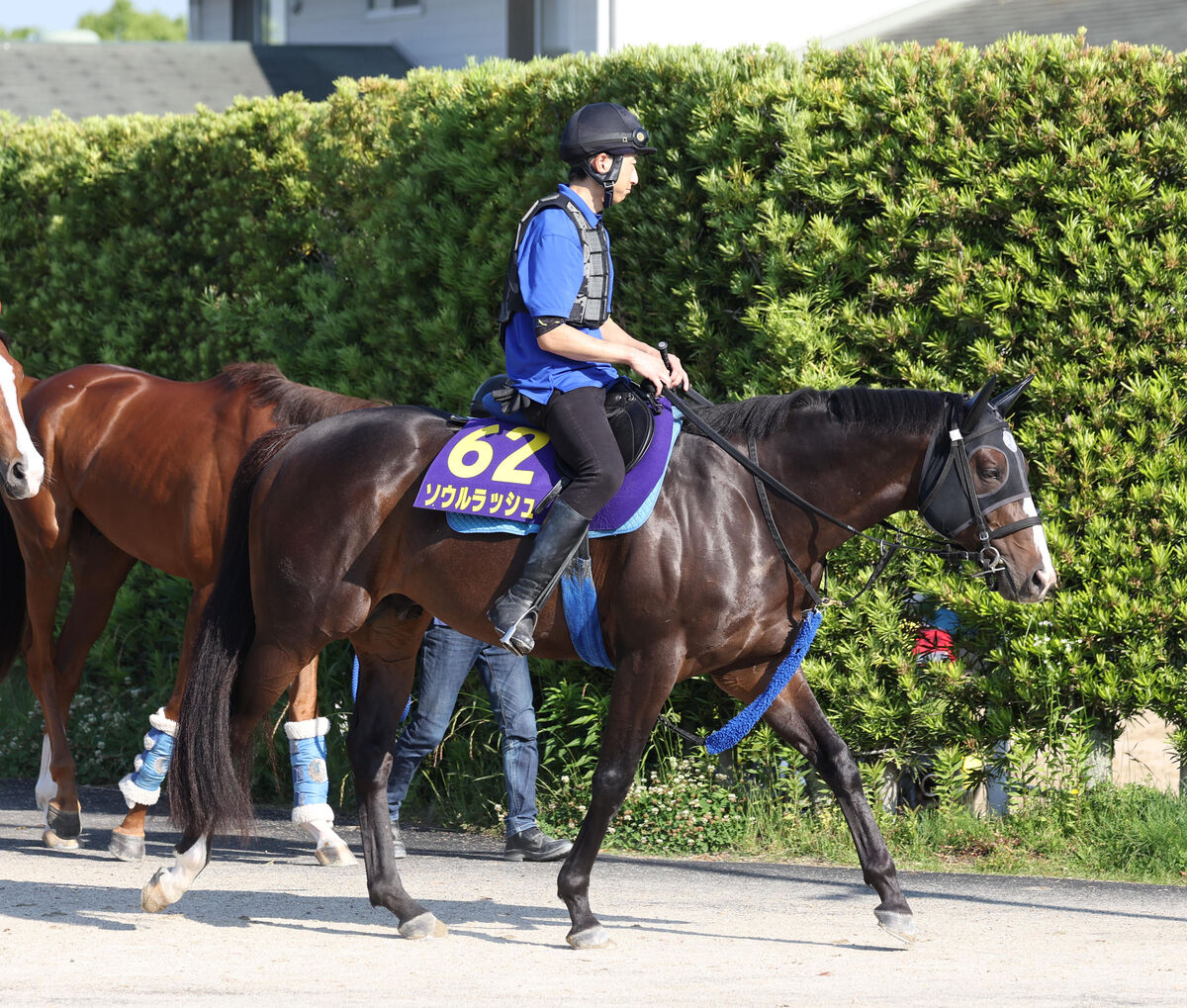 安田記念】マイルCSの覇者ソウルラッシュは7枠13番 ジャン
