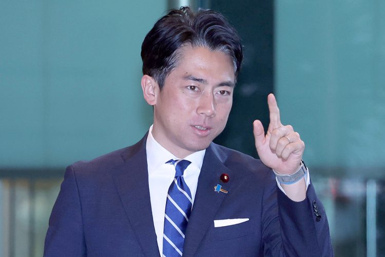 令和の小泉劇場：米価格引き下げと政局の行方