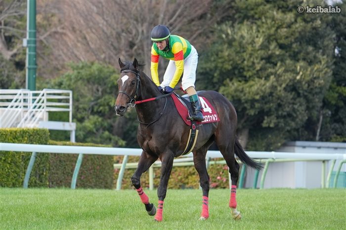 安田記念】22・23年連覇ソングラインも該当！「好走馬の条件」を