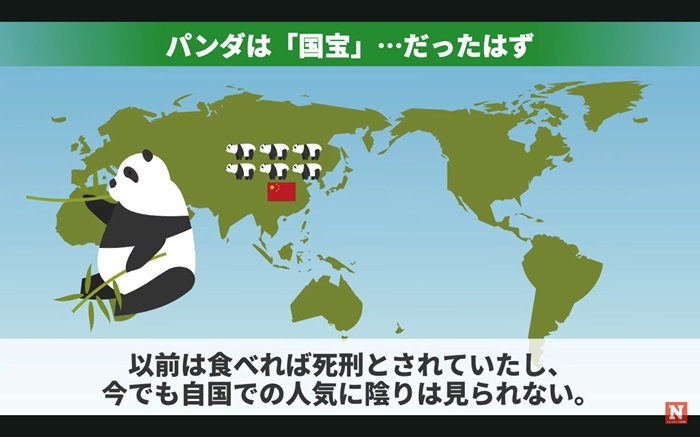 中国の国宝、ジャイアントパンダ