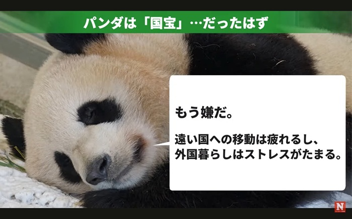 日本に迫る「ゼロパンダ」の未来中国はもう貸さない