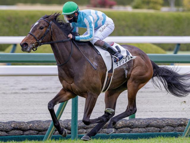 デアリングタクト　新聞記事 全姉は三冠牝馬のデアリングタクト デアリングエアが連勝狙う