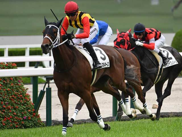 競馬動画集 on X: 