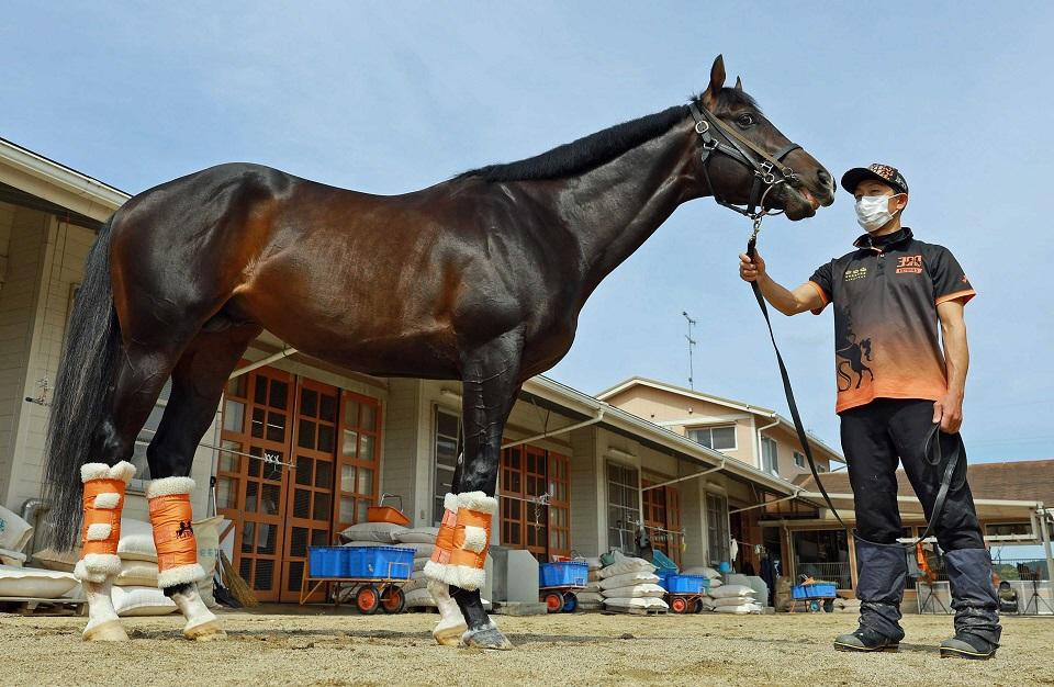 ジャンタルマンタル　メイクデビュー京都　現地的中単勝馬券 安田記念】ジャンタルマンタル 3度目G1制覇へ陣営「ここまで