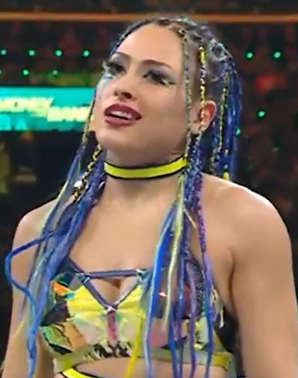 ジュリアは初のWWE「マネー・イン・ザ・バンク・ラダーマッチ