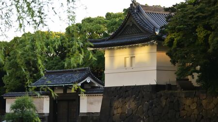 「べらぼう」注目の田沼意知とは？父・意次の権勢が生んだ悲劇の嫡男