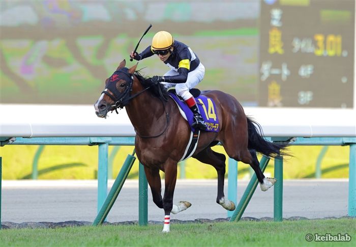 JRA必勝バイブル 奥村俊一の競馬赤本 希少本 佐賀競馬・第28回JRA交流たんぽぽ賞】コウユーカメサンヨ豪快に