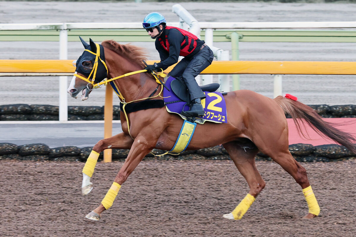 イクイノックスが引退、種牡馬入り | 競馬ニュースなら競馬の