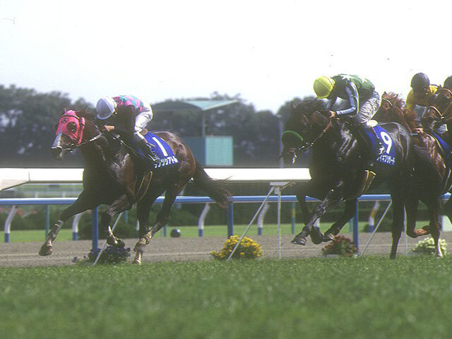 1995年、追憶の宝塚記念。ダンツシアトルとライスシャワー、2頭