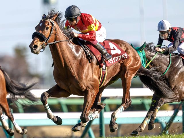 宝塚記念予想オッズ】ベラジオオペラが予想1番人気（netkeiba