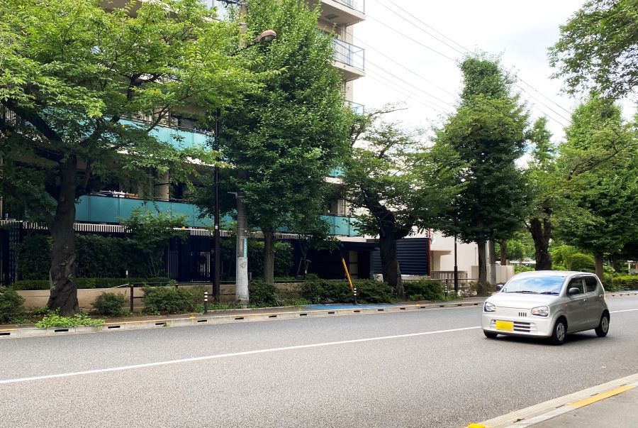 赤信号手前で「惰性運転」するドライバー心理とは？ 交通心理士が解説