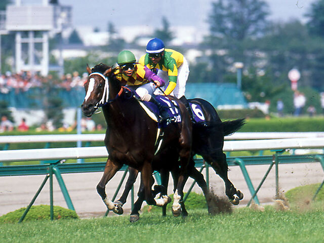 100％本物 スイープトウショウの宝塚記念制覇 39年ぶり牝馬の勝利から20年 コレクション