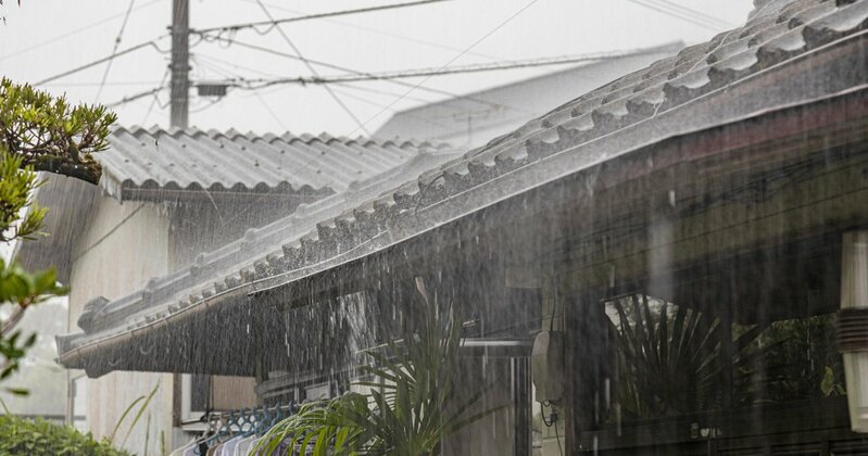 中古住宅で発見された、天井の雨漏りによる染みと劣化の様子