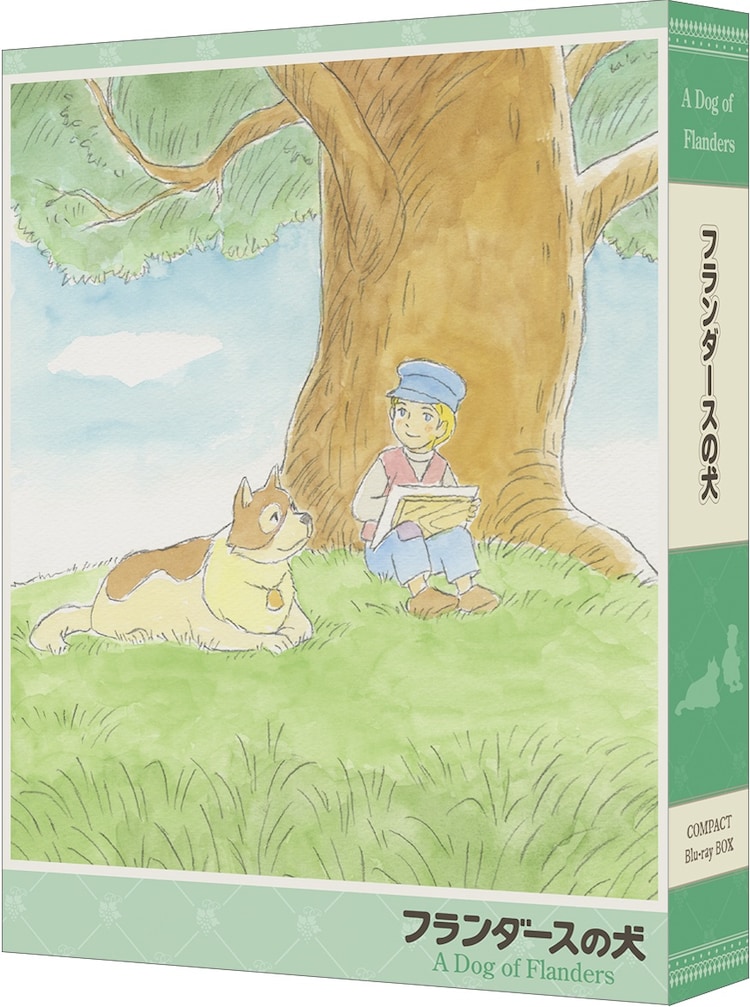 赤毛のアン　DVD ハイジ　秘密の楽園　フランダースの犬　ラスカル　ロッタちゃん 世界名作劇場 あらいぐまラスカル フランダースの犬 赤毛のアン