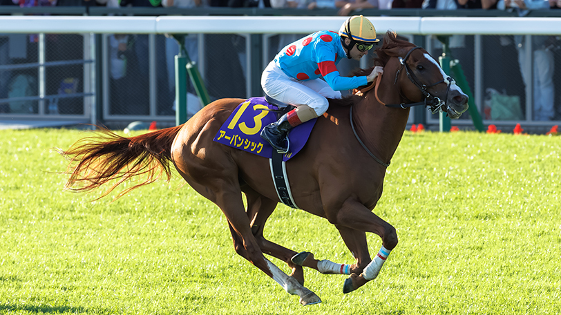新品おもちゃ・ホビー・グッズ - 宝塚記念(GI)優勝馬パネル