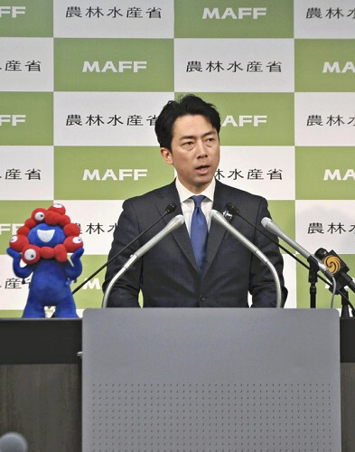 主食用コメの輸入前倒し、２７日に入札・９月下旬引き渡し…小泉農相「何でもやる」