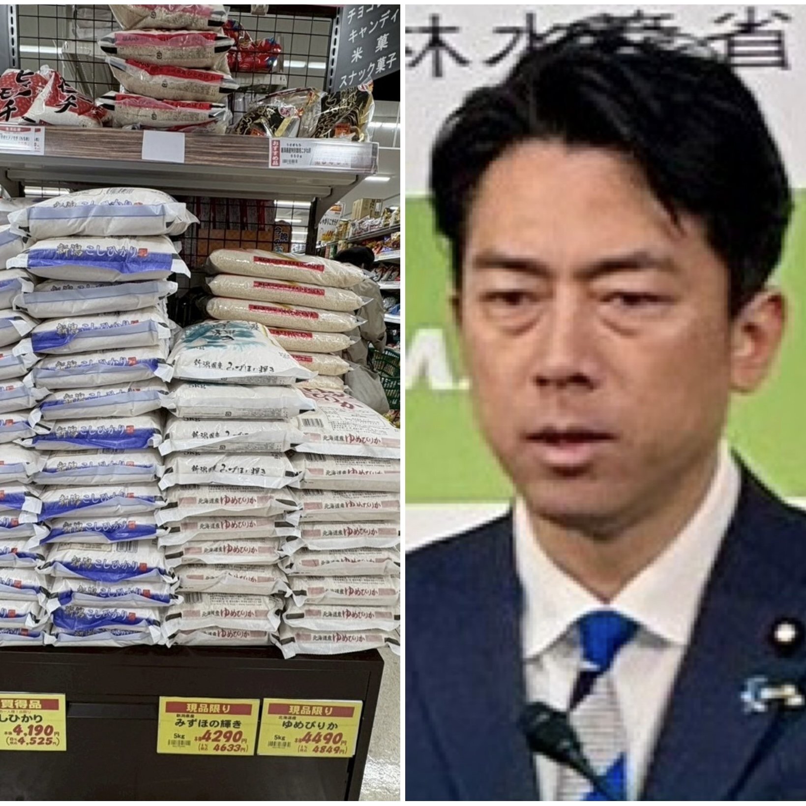 「進次郎米」人気の裏で... ブランド米にダブつき兆候、市場の今を探る