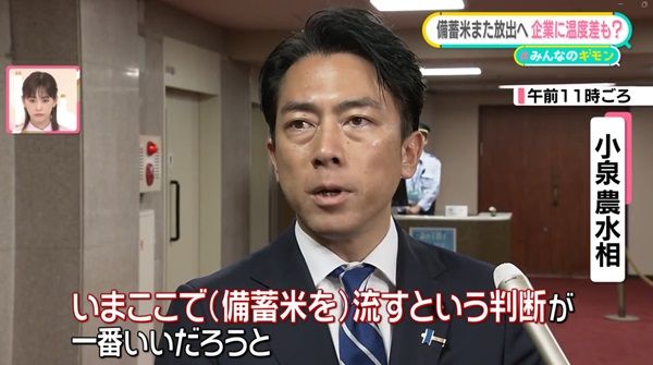 小泉農林水産大臣が備蓄米の迅速な放出決定について説明する写真。