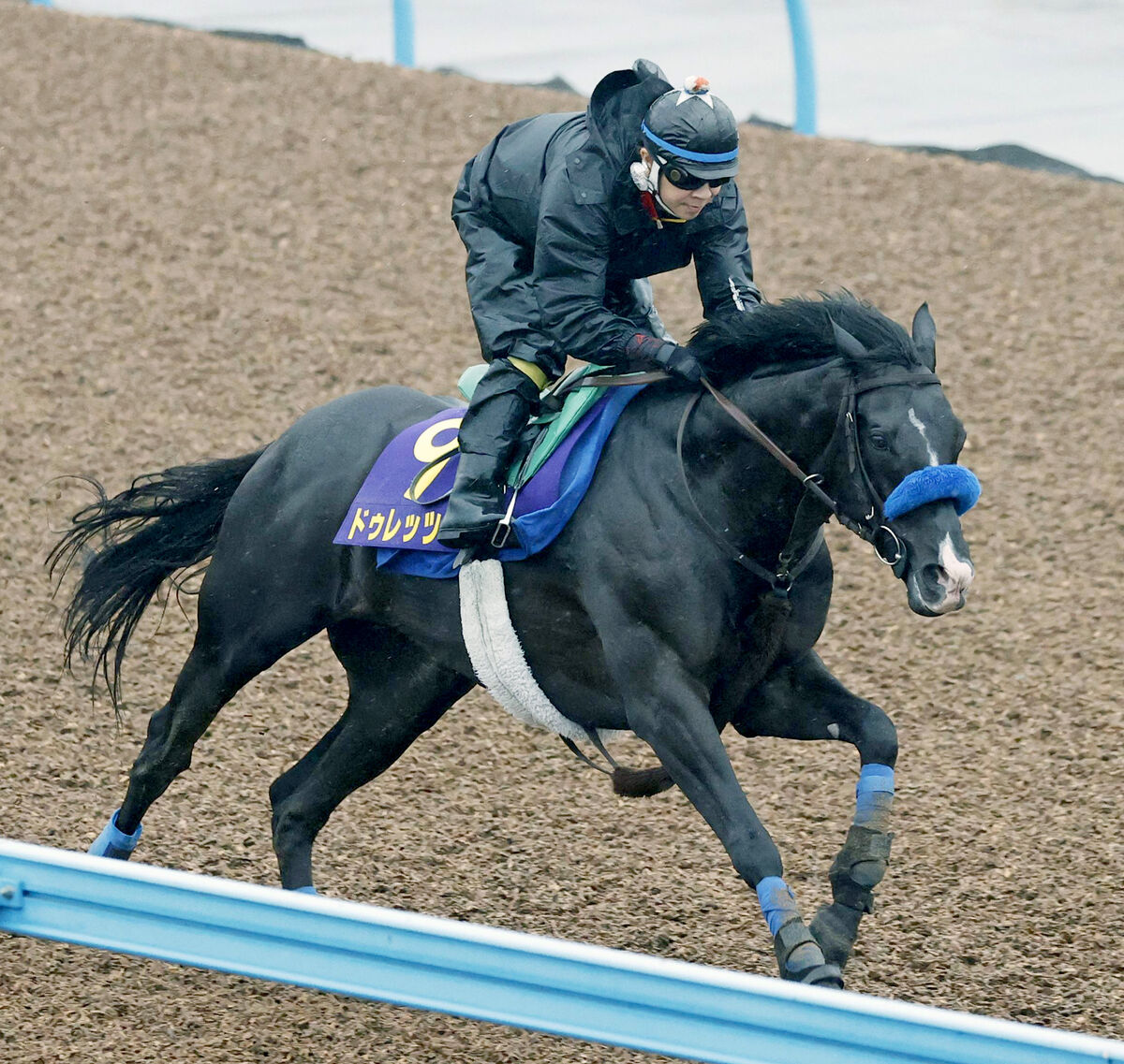 宝塚記念】菊花賞以来2つ目のG1タイトルへ ドゥレッツァ1枠