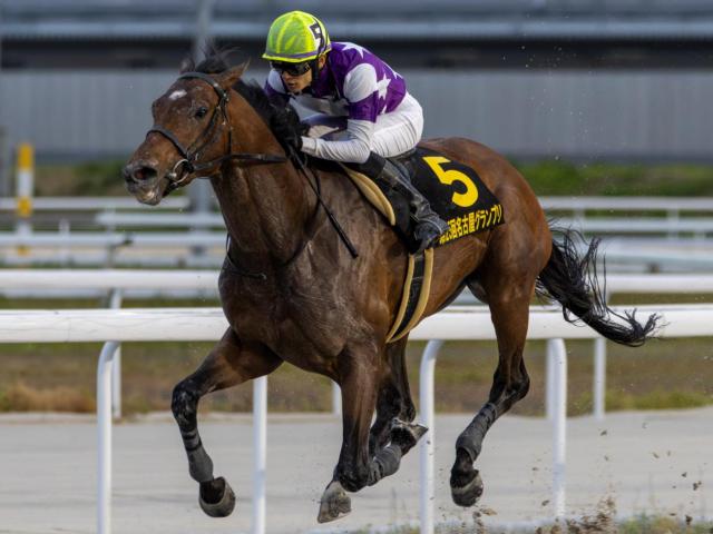 【有名人芸能人】 半兄はダート重賞3勝サンライズジパング オラヴィンリンナが初陣 コレクション