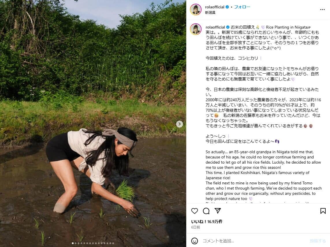 裸足で田植えをするタレントのローラさん。緑豊かな水田で稲の苗を持つ姿。