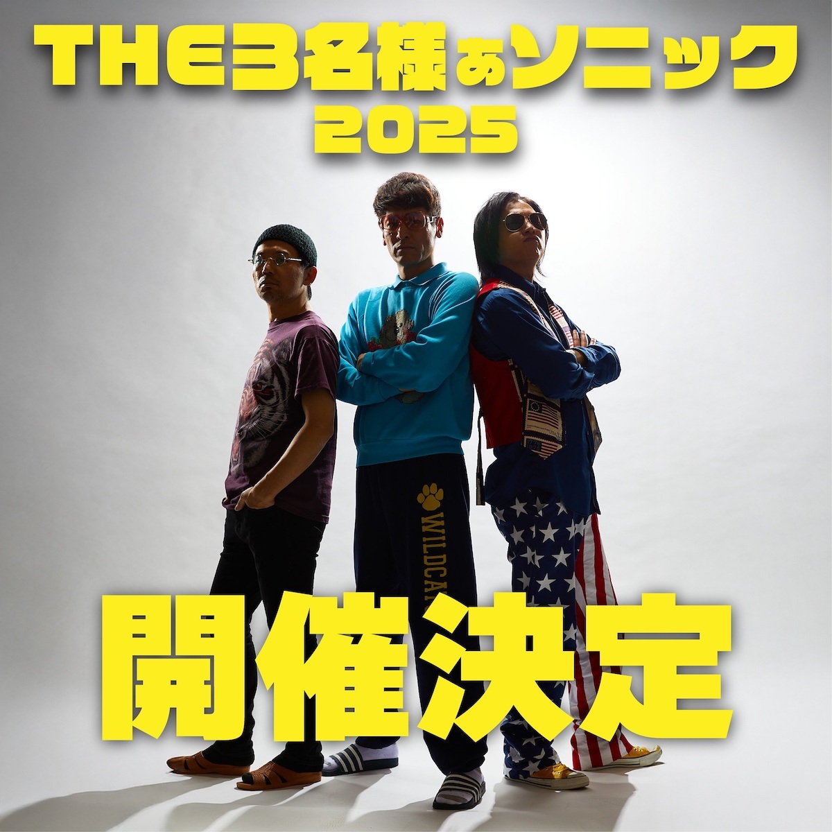 レンタル落ち　THE3名様　DVD　7巻セット　佐藤隆太　岡田義徳　塚本高史 佐藤隆太＆岡田義徳＆塚本高史「THE3名様」連ドラ＆映画で