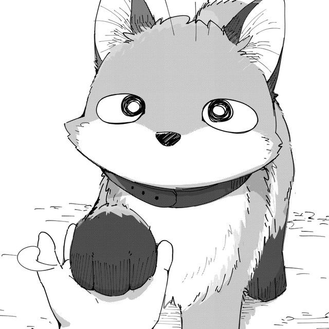 犬だと思って拾ったのは“きつね”！？ 芸なんて無理だと思ったの