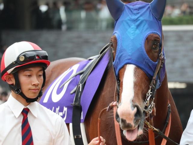 エアグルーヴ　第４３回　有馬記念 第43回 有馬記念（グランプリ）（GⅠ）パドック 1998.12.27