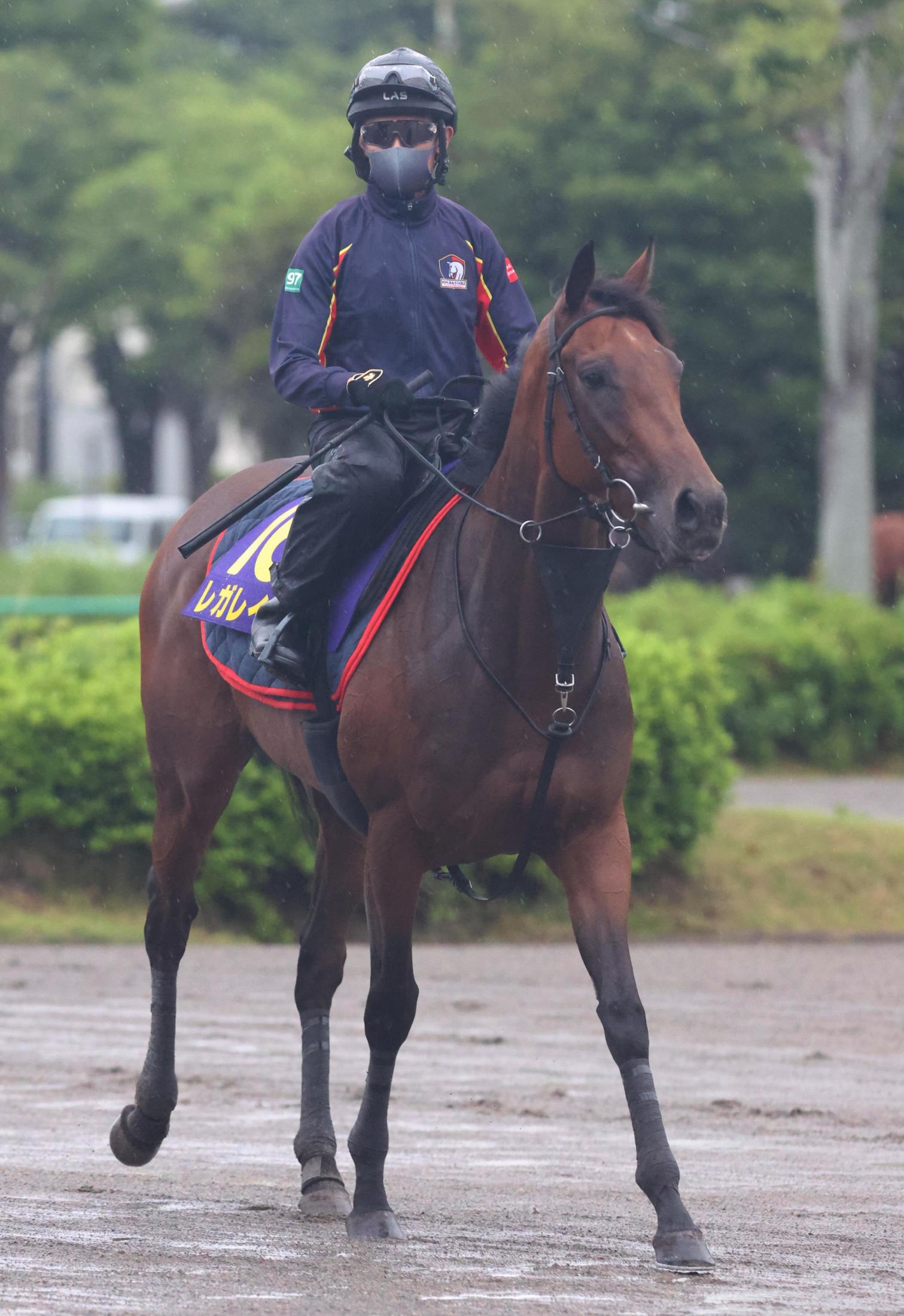 宝塚記念】レガレイラ 阪神競馬場に到着 太田助手「さらに一段