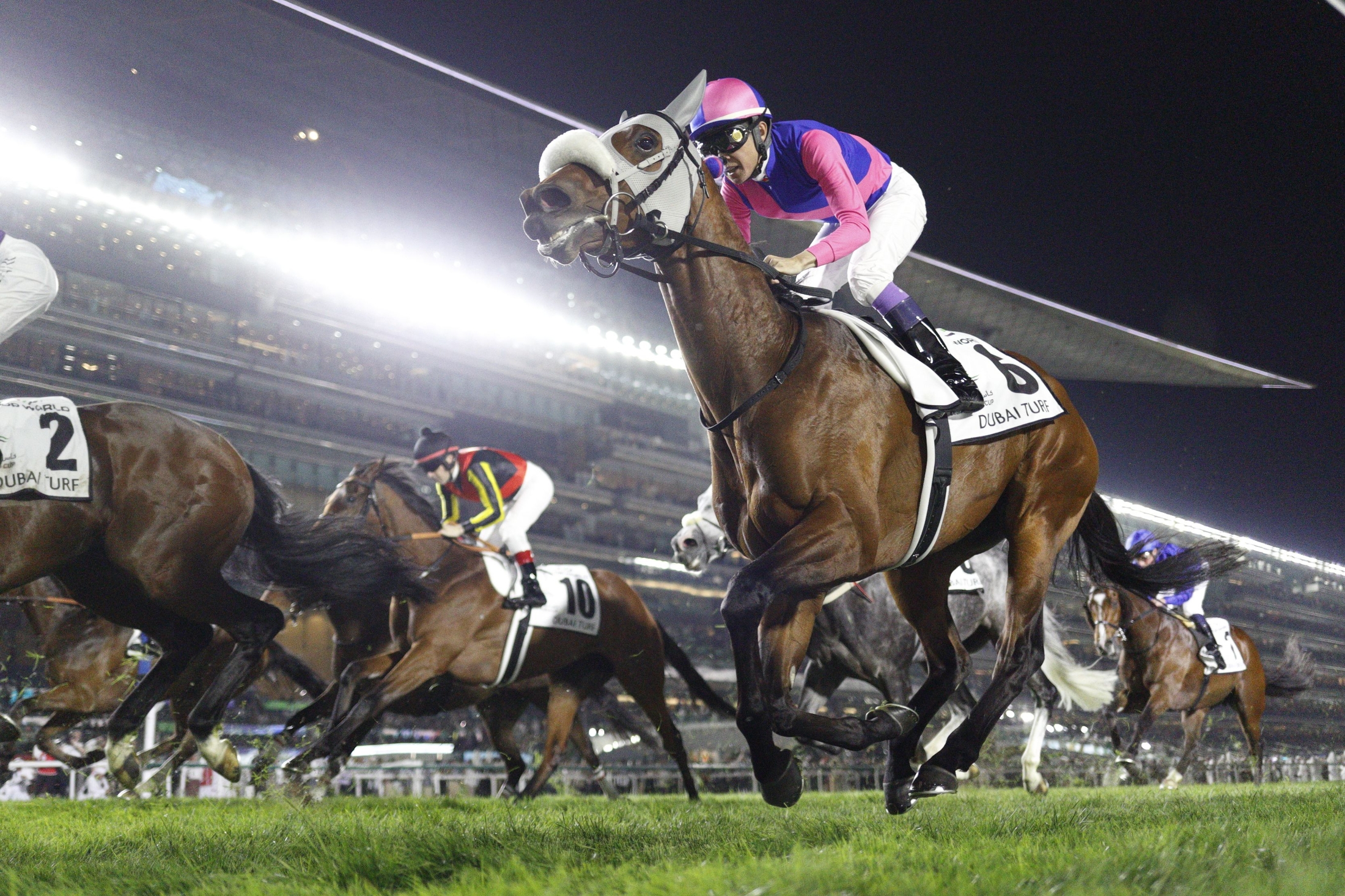 イ*将様 競馬カード　キラキラ　馬　乗馬　まとめ売り　アルバム G１ Gallop 競馬カードセット - メルカリ