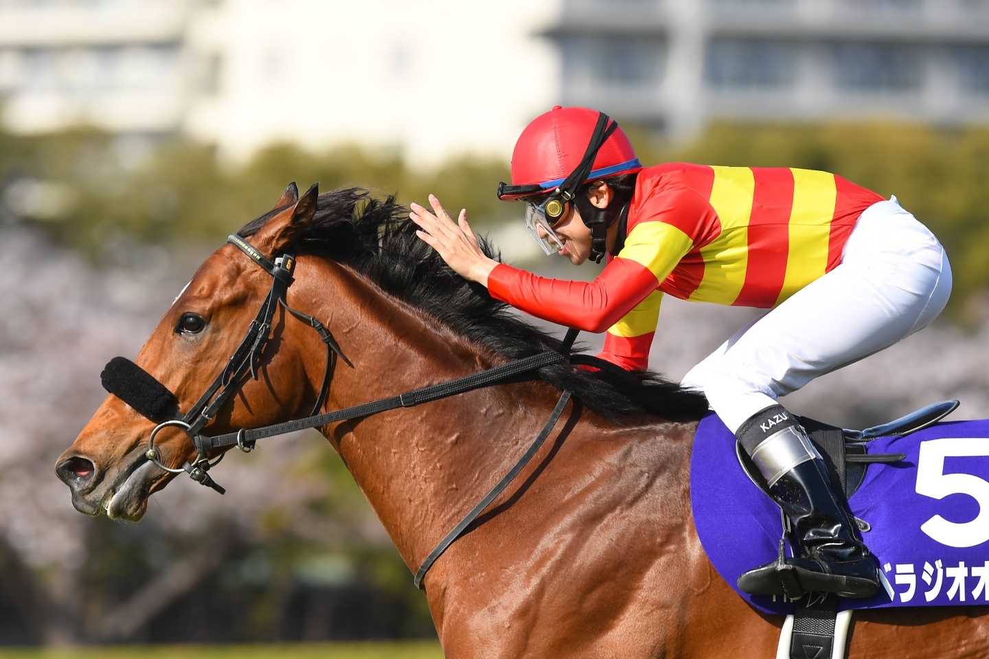 JRAポスター ベラジオオペラ JRA 競馬 大阪杯 ベラジオオペラ ポスター B1 JRA◇第69回大阪杯