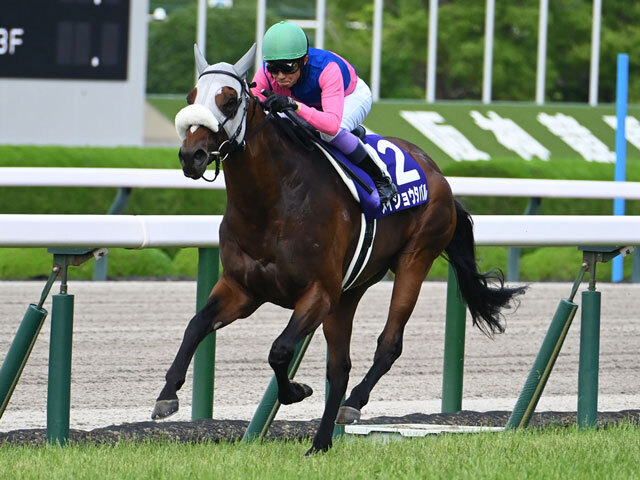 【競馬】メイショウタバル（2025年宝塚記念）ミニゼッケン／武豊／JRA 競馬】メイショウタバル（2025年宝塚記念）ミニゼッケン／武豊