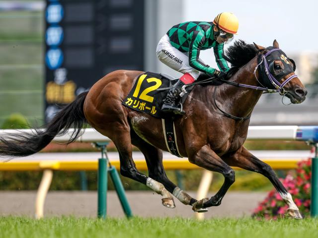 パラダイスS結果】単勝オッズ207.2倍、シンガリ人気の9歳馬
