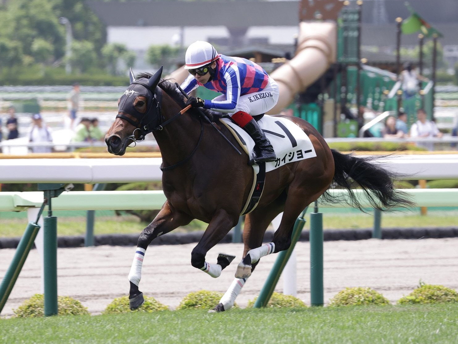 新馬戦】カイショー 馬名通りの快勝劇 46年ぶり2歳レコード