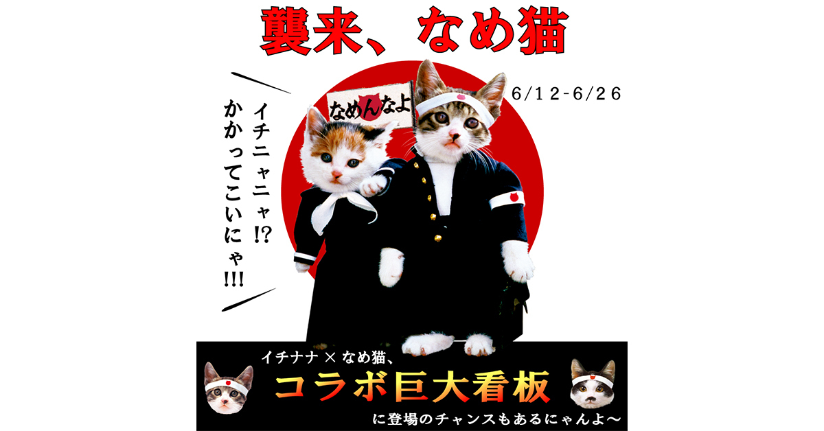 なめ猫 缶ビルボード - メルカリ