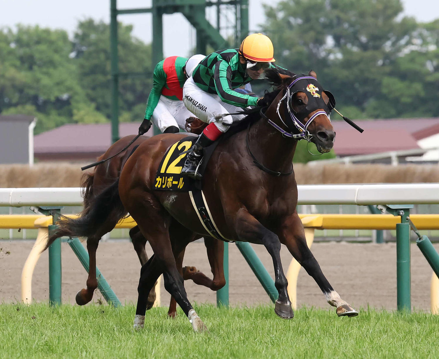 馬券最高機密死目の掟