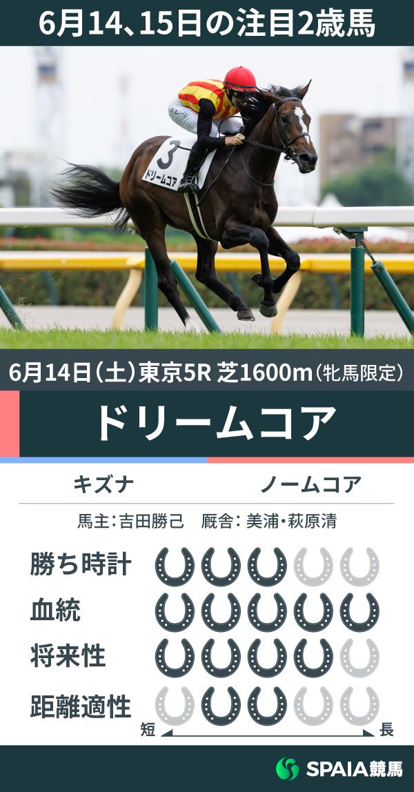 注目2歳馬】キズナ産駒ドリームコアが逃げ切りV 母はGⅠ・2勝馬
