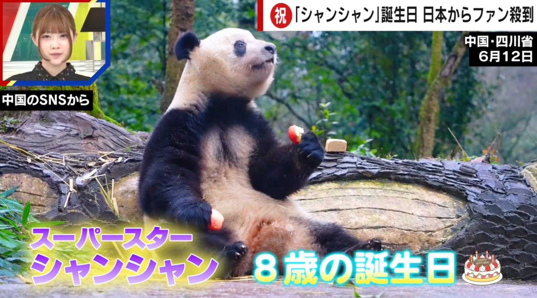 涙の別れから2年…「シャンシャン」の誕生日で日本人ファンが中国