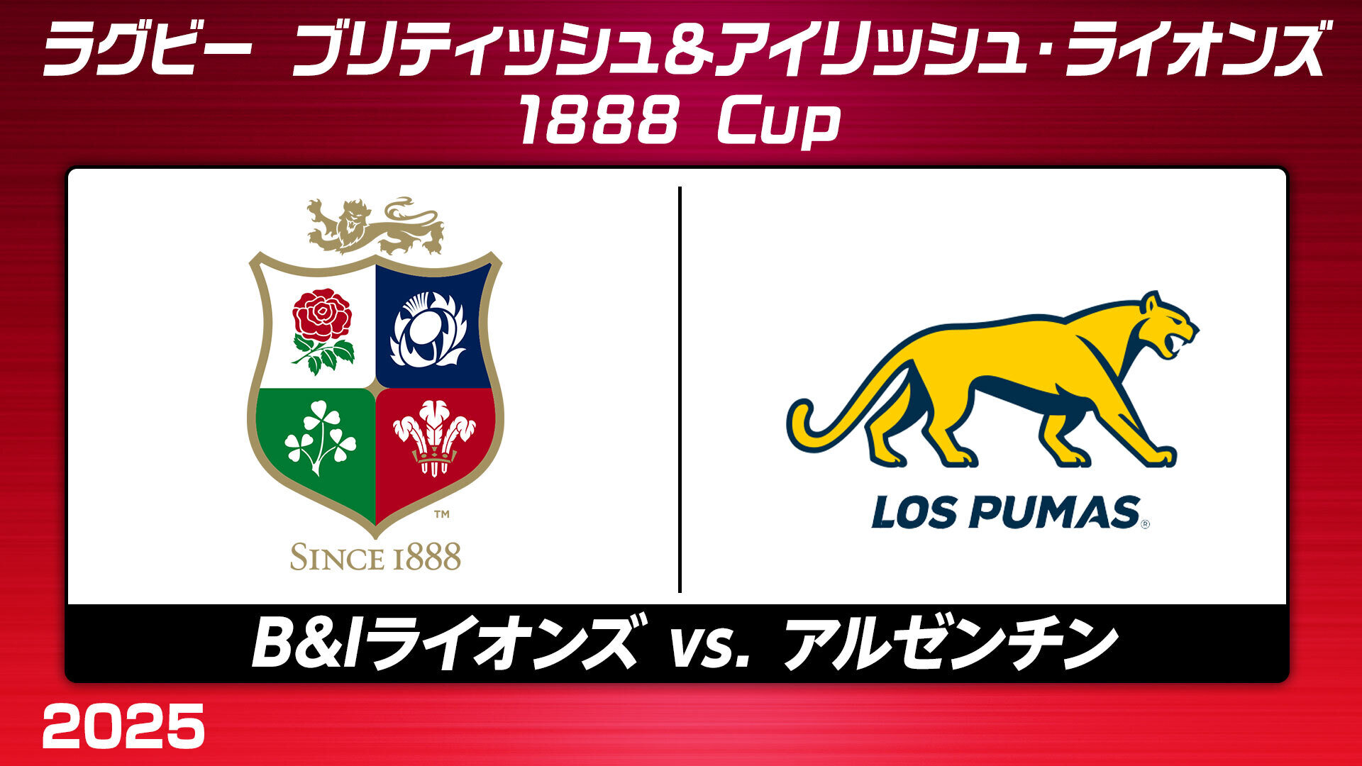4年に一度の結成。ラグビー精神を体現する ブリティッシュ＆アイ