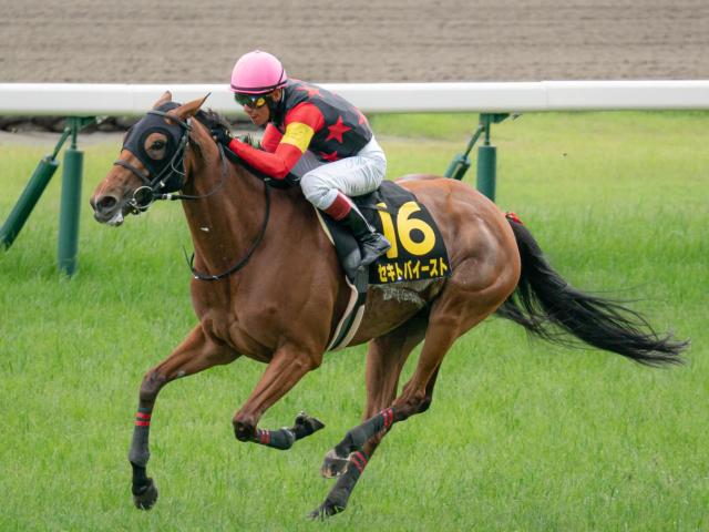 【期限切れ単勝馬券】　第46回　府中牝馬ステークス　メジロドーベル　ウマ娘 メジロドーベル 1998年(平成10年)第46回府中牝馬ステークス(G3