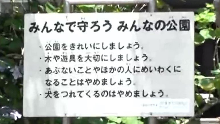 観光地・鎌倉の由比ヶ浜を散歩する犬と飼い主たち