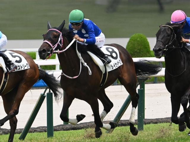 絶対連動 : 発見!永遠に続くJRA馬番リンク