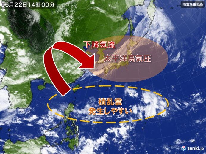 小笠原諸島近海における積乱雲や熱帯低気圧の状況