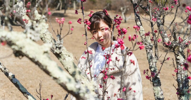 大阪大学の学生たちが「グローバル・コモンズ」のような環境で学習する様子